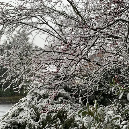 Kempen/nrh. * Kempen