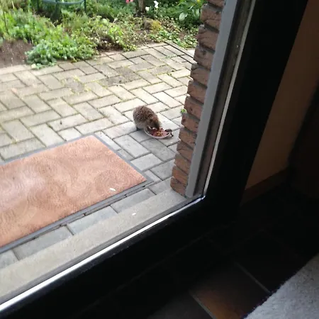 Séjour chez l'habitant Privatzimmer Kempen Kempen