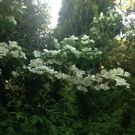 Kempen/nrh. * Kempen