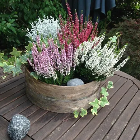 Kempen/nrh. Habitación en casa particular *