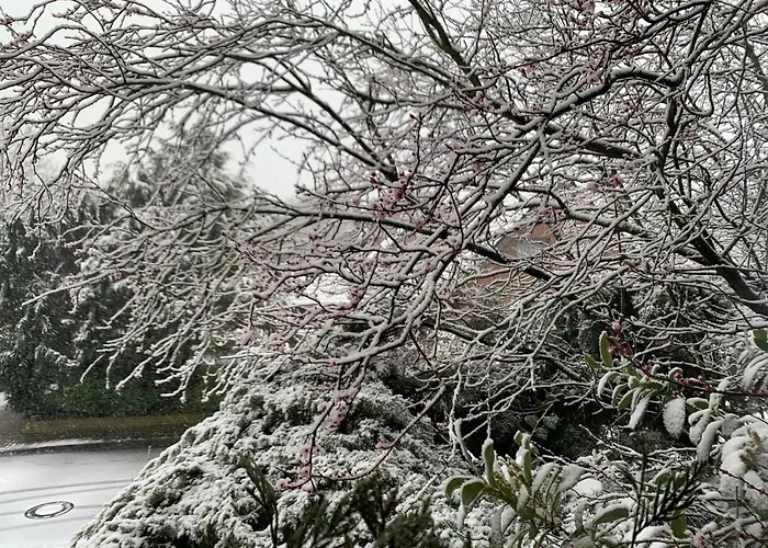 Privatzimmer Kempen * Kempen