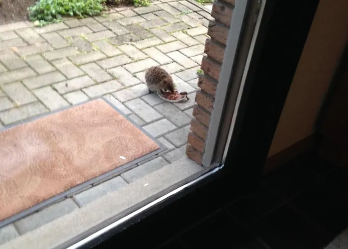 Séjour chez l'habitant Privatzimmer Kempen Kempen