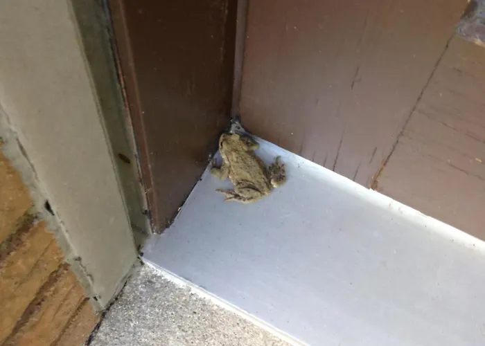 Privatzimmer Kempen/Nrh.