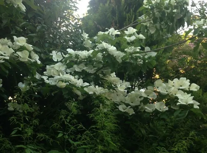 Privatzimmer Kempen * Kempen