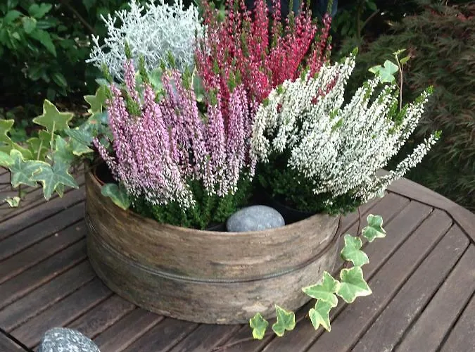 Privatzimmer Kempen Séjour chez l'habitant *